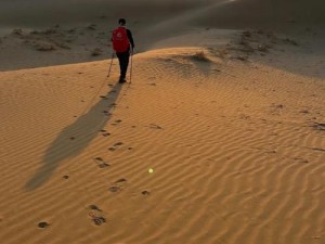 楚留香沙海冒险之旅：一行人穿越神秘大沙漠，探秘异国风情的绿洲国度